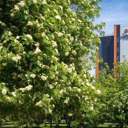 Doubletree by Hilton Novosibirsk Novosibirsk