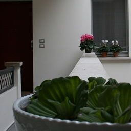 Agorà Residenza Mantova