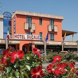 Вид Ducale
