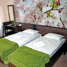 Номер Green Budapest