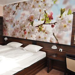 Номер Green Budapest