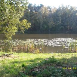 View Waldhotel Seerosenhof