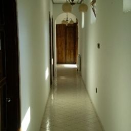  Palota