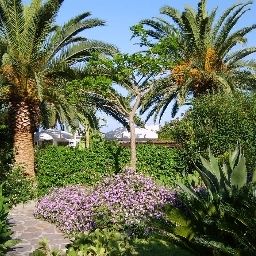 Garden Semiramis Fotos