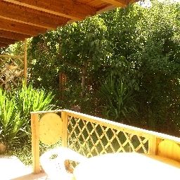 Vue intérieure S'Alzolitta B&B Fotos
