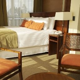 Suite Solace