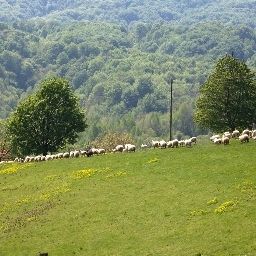 Panorama Heart of Nature Rural household