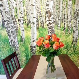 Flamingo Apartament Podwale Kraków