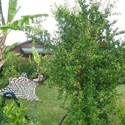Garden Almira Bungalow Fotos