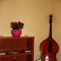 Contrabass City Center Lvov