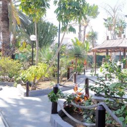 San Valentin & Terraflor Park Bungalows in Playa del ...