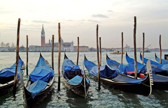 Info Venice a Luxury Collection Hotel Hotel Danieli