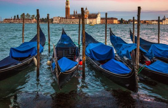 Info Hotel Danieli a Luxury Collection Hotel Venice