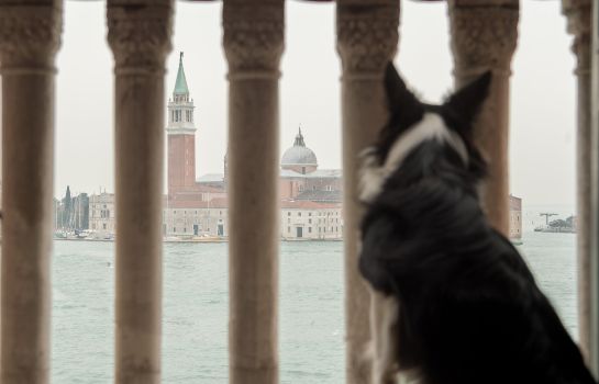 Info Hotel Danieli a Luxury Collection Hotel Venice