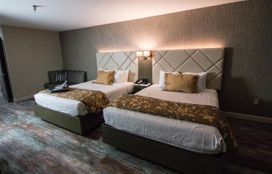 Room BEST WESTERN PLUS HIGH SIERRA