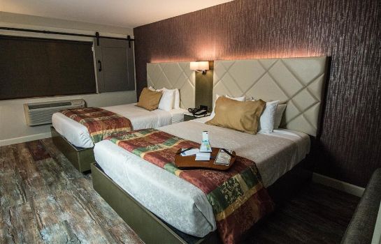 Habitación BEST WESTERN PLUS HIGH SIERRA