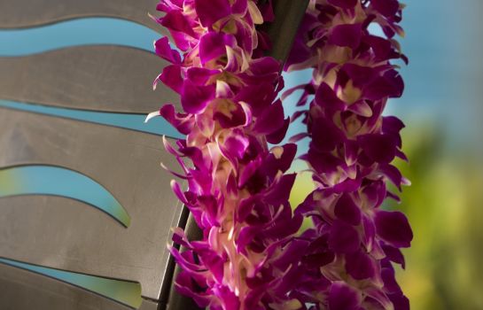 Kamers Outrigger Reef