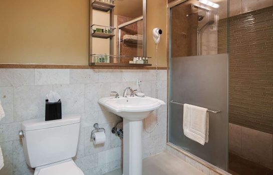 Suite BEST WESTERN PLUS HOSPITALITY