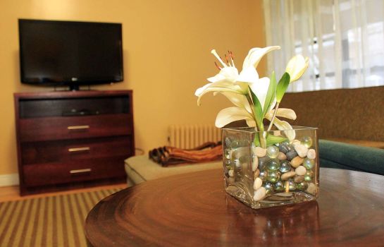 Suite BEST WESTERN PLUS HOSPITALITY
