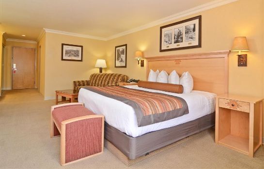 Zimmer BW PREMIER GRAND CANYON SQUIRE