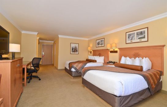 Zimmer BW PREMIER GRAND CANYON SQUIRE