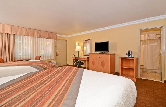 Zimmer BW PREMIER GRAND CANYON SQUIRE