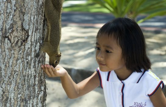 Info The Westin Resort Nusa Dua Bali