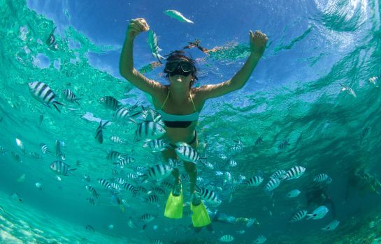 Info The Westin Turtle Bay Resort & Spa Mauritius