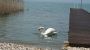 Miramar Sirmione
