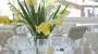 Jasminum Bibione
