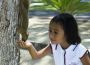 Information The Westin Resort Nusa Dua Bali