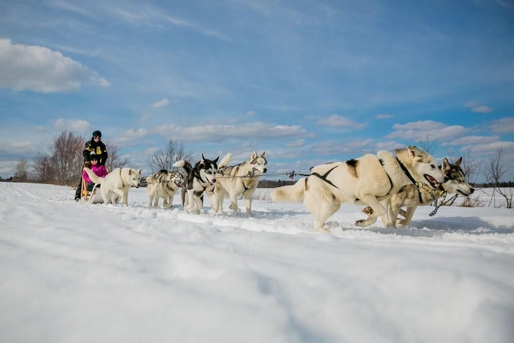 Hotel Auberge Le P'tit Bonheur in Boischatel (Québec) HRS
