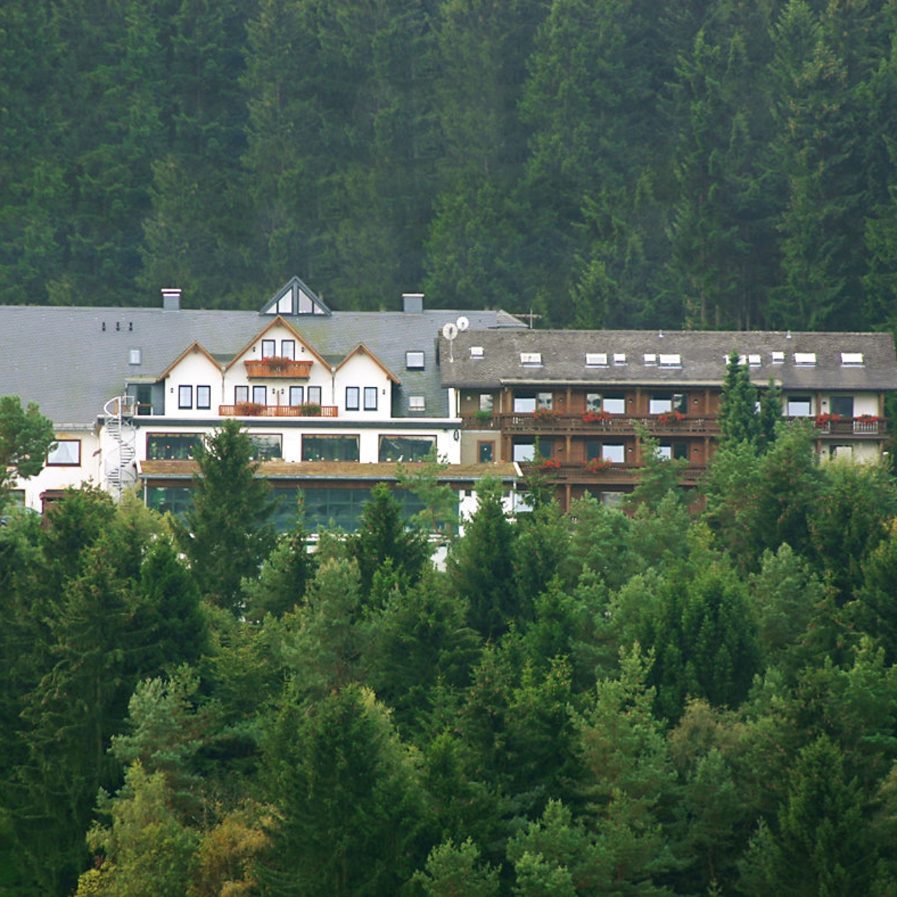 wald hotel willingen hessen bei hrs gunstig buchen