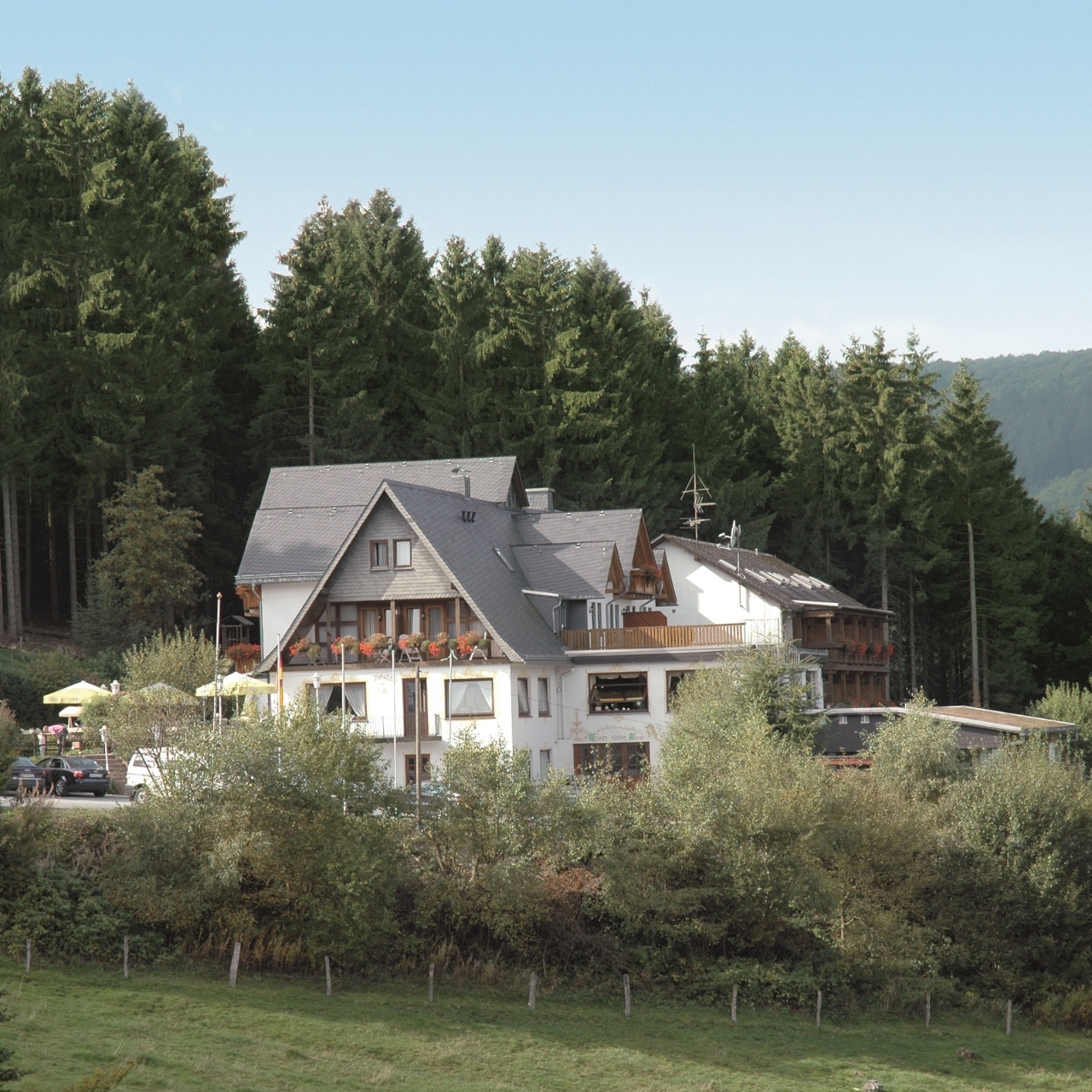 wald hotel willingen hessen bei hrs gunstig buchen