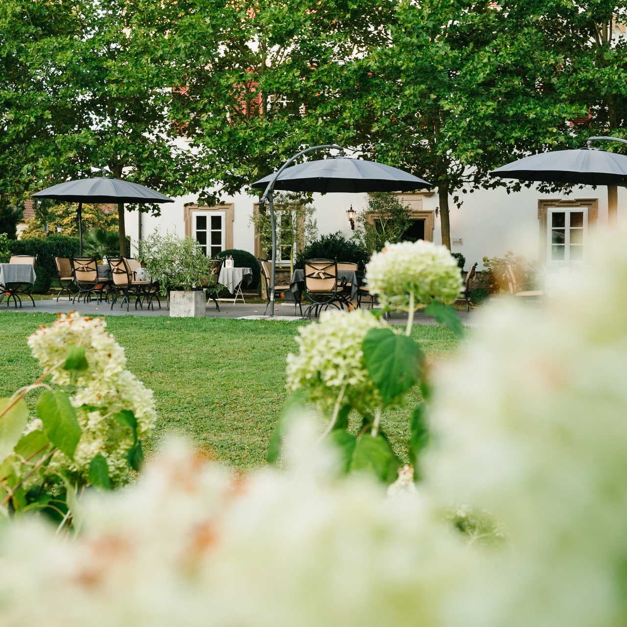 Hotel Schloss Lehen 4 Hrs Star Hotel In Bad Friedrichshall Baden Wurttemberg Compare prices of hotels in bad friedrichshall on kayak now. hotel schloss lehen 4 hrs star hotel