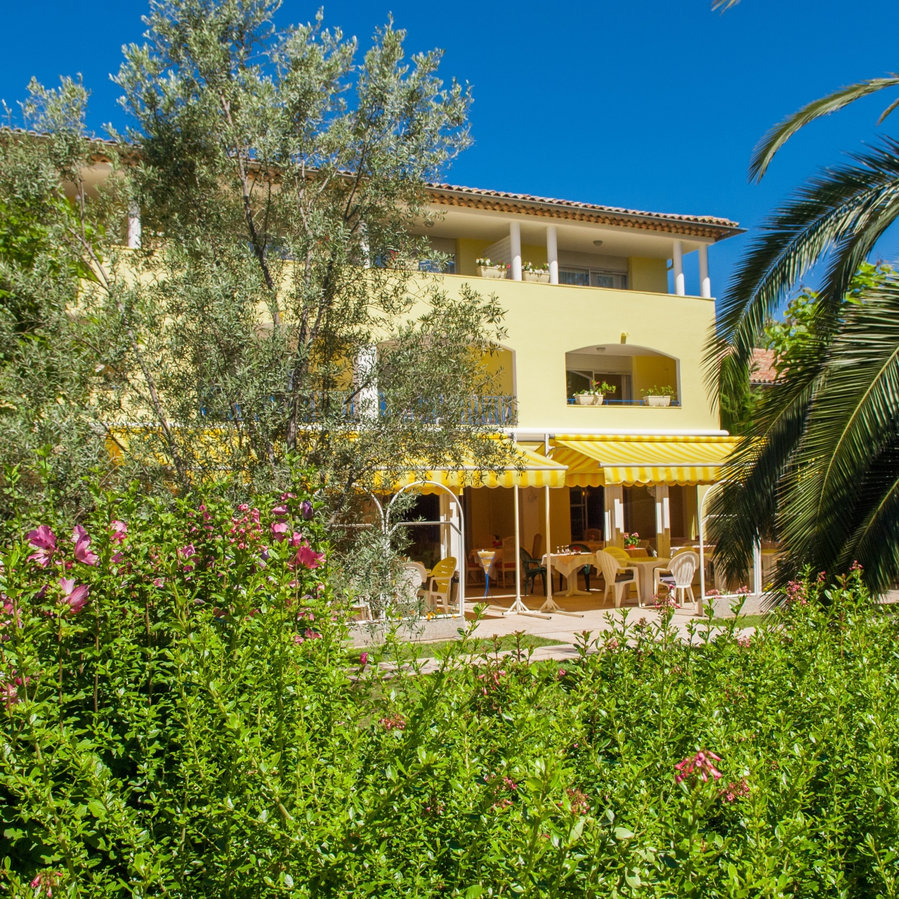 look mark evaporation hotel du golf mandelieu la napoule ercantastorie com