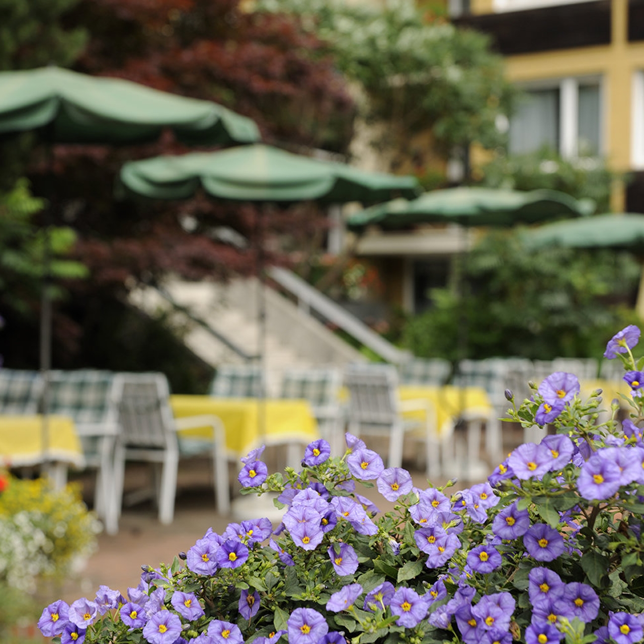 Bad Hofgastein Salzburg Oostenrijk Europa Hrs