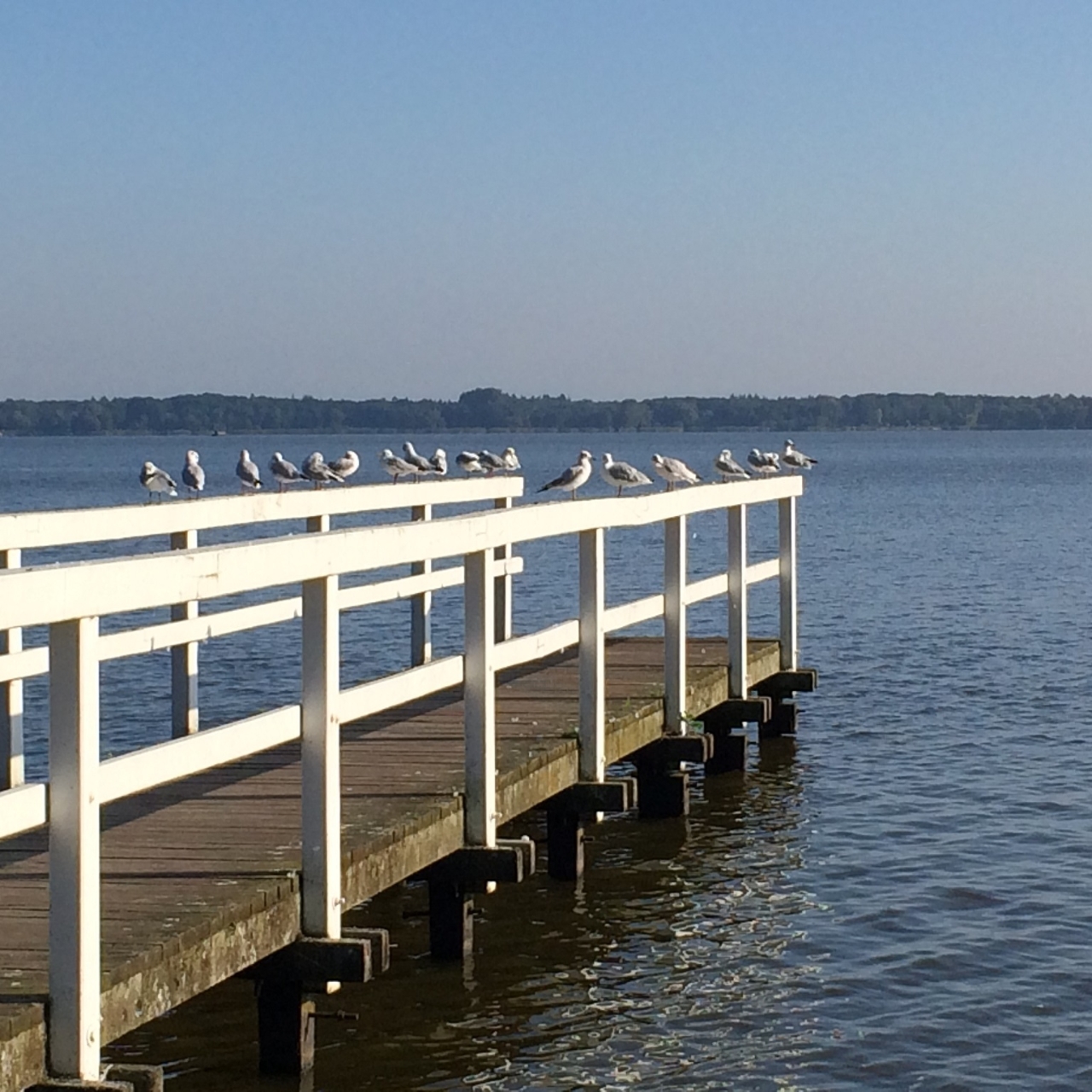 Hotel Hansens Haus Am Meer 4 Hrs Star Hotel In Bad Zwischenahn