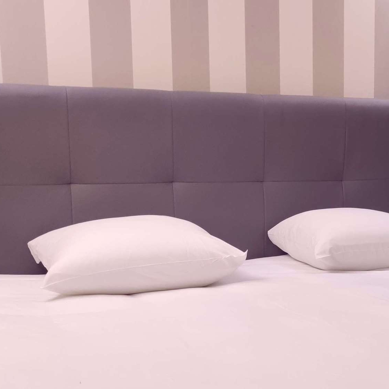 Lille Nord Pas De Calais Frankrijk Europa Hrs