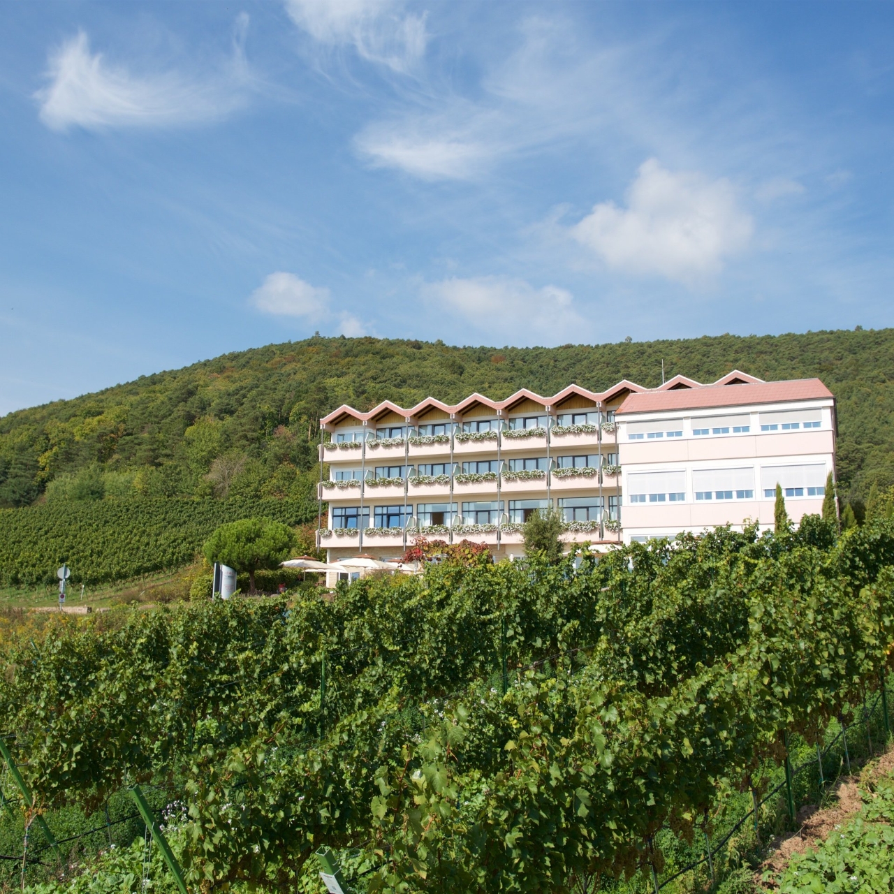 Arens Hotel 327m Nn Hotel Haus Am Weinberg 3 Hrs Star Hotel In
