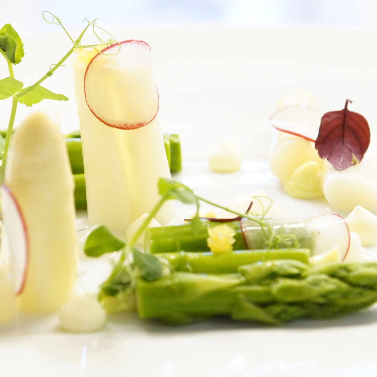 walksches haus romantik hotel germany at hrs with free services