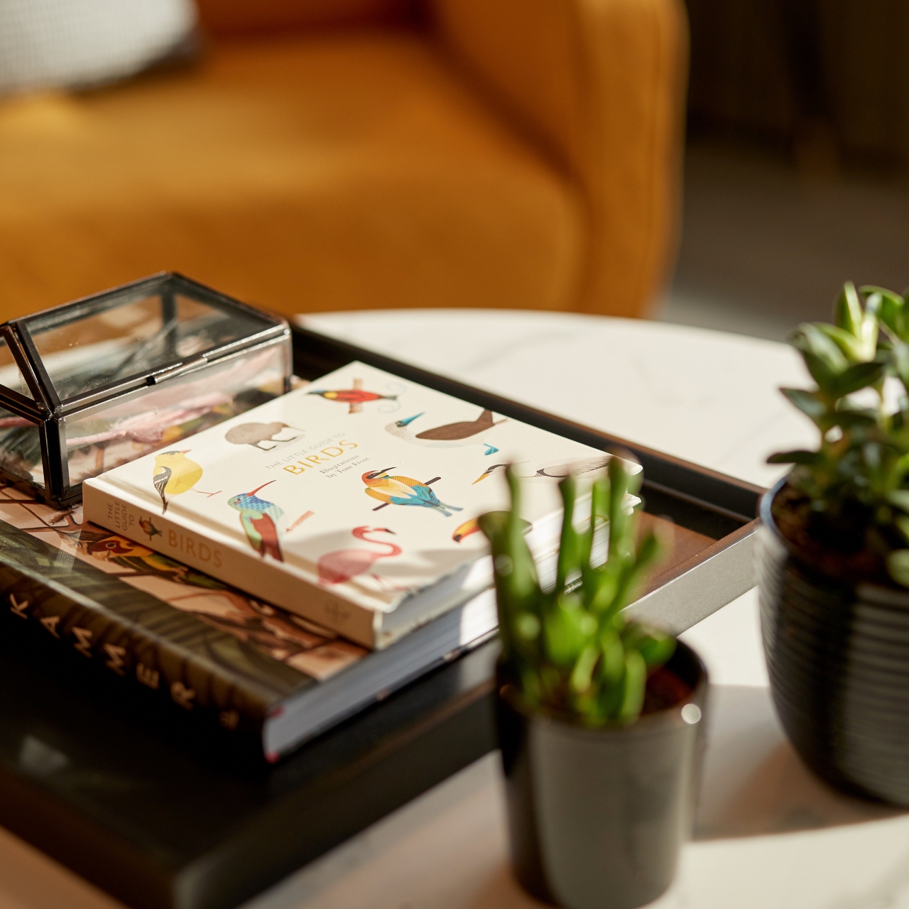 Hotel Park Plaza Vondelpark 4 Hrs Star Hotel In Amsterdam North Holland