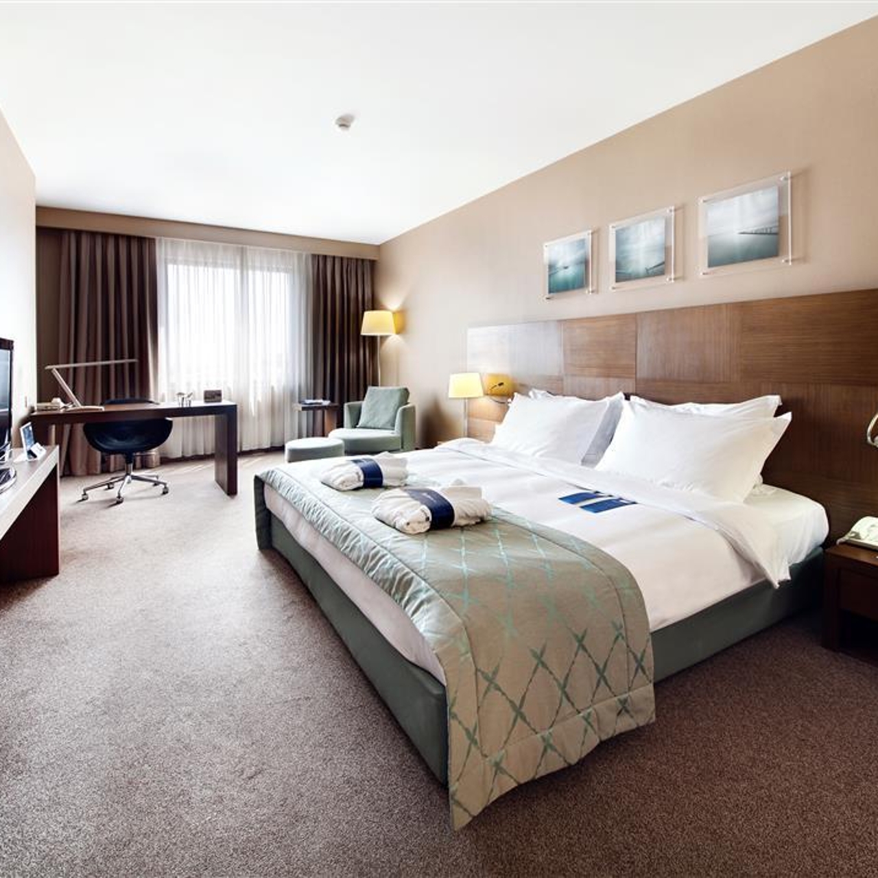 Radisson Blu Airport Hotel Ist 5 Hrs Star Hotel In Istanbul Istanbul