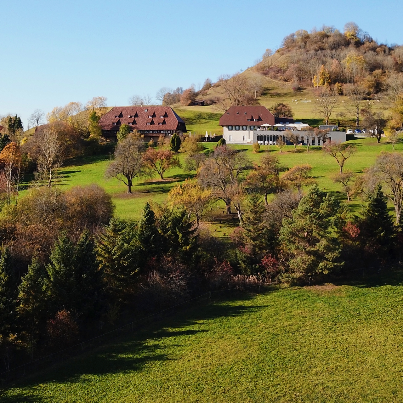 hotel hofgut hohenkarpfen baden wurttemberg at hrs with free services