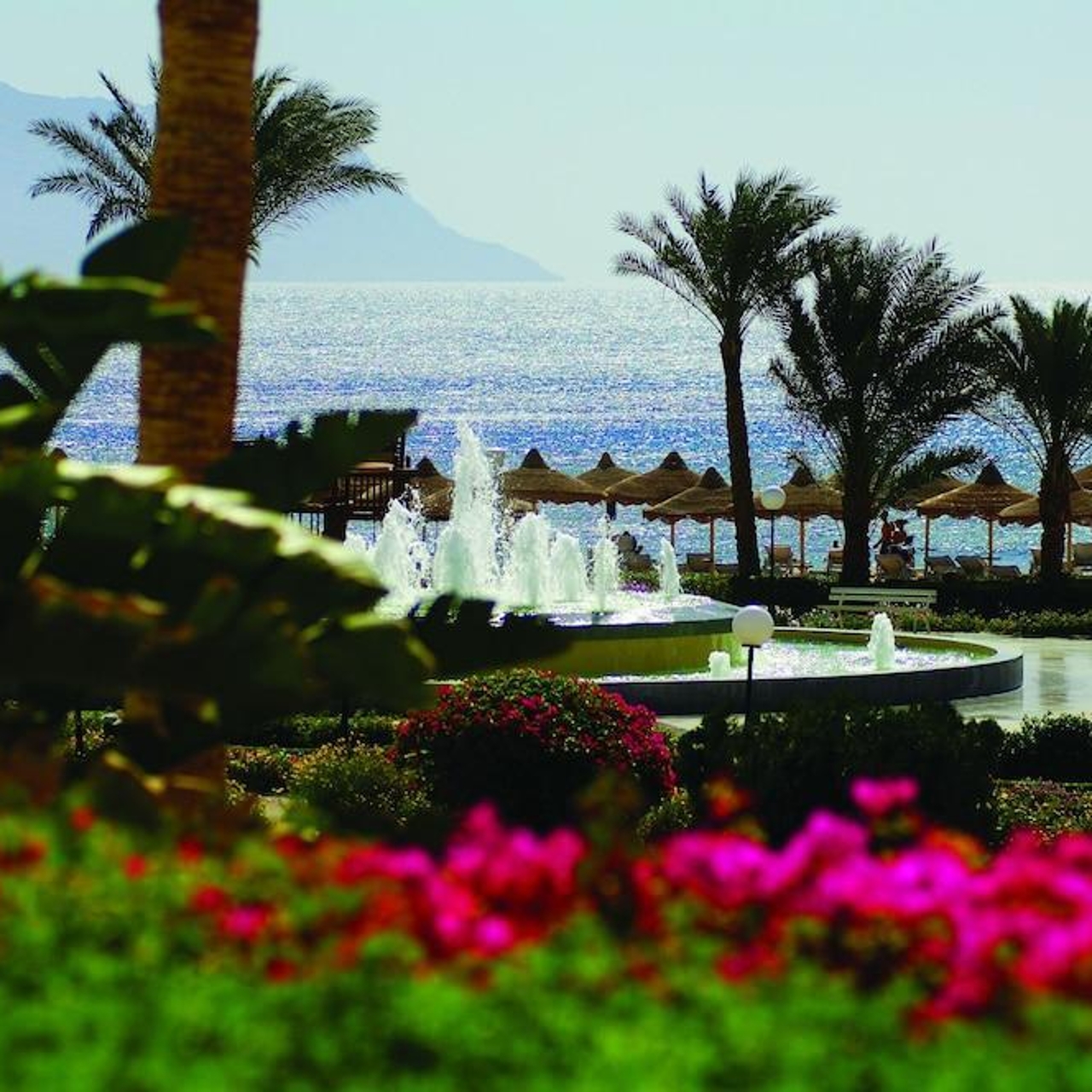 Hotel Baron Resort Sharm El Sheikh 5 Hrs Star Hotel In Sharm El Sheikh Sinai