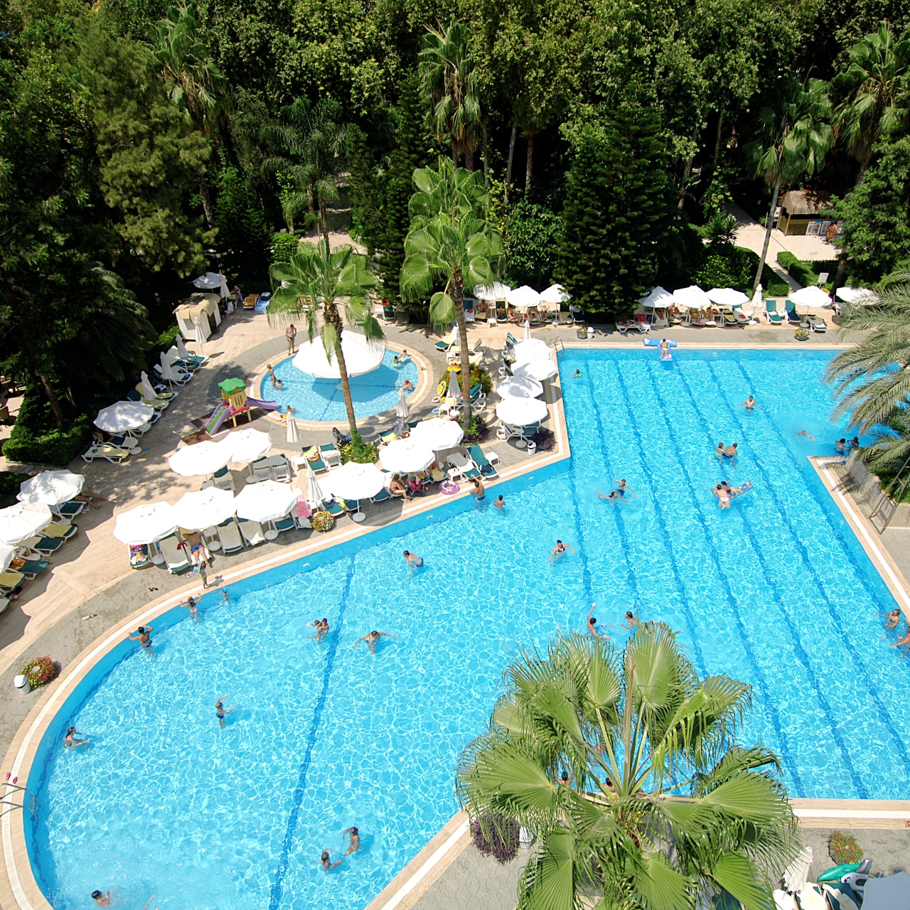 Hotel Delphin Botanik 5 Hrs Star Hotel In Alanya Antalya