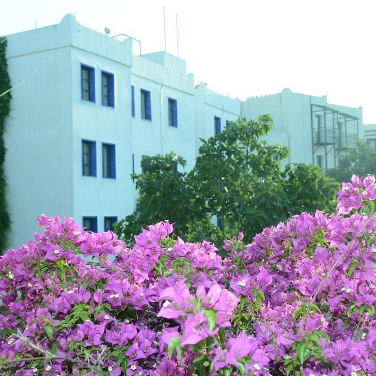 Bodrum Park Hotel In Bodrum Mugla Hrs
