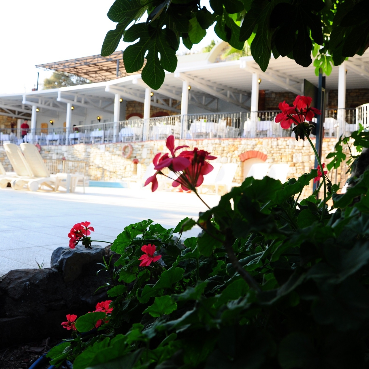 Hotel Paloma Family Club In Bodrum Mugla Hrs