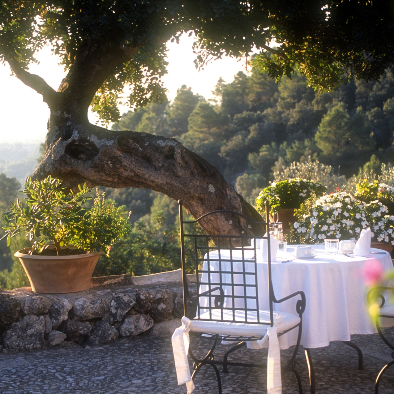 Finca Hotel Albellons Parc Natural Hotel 4 Hrs Star Hotel In Selva Balearic Islands
