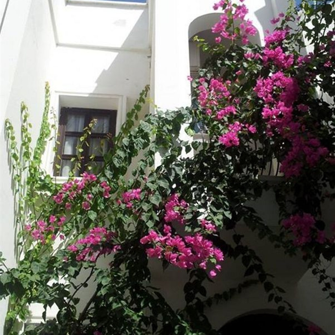 Hotel Aydem 3 Hrs Star Hotel In Bodrum Mugla